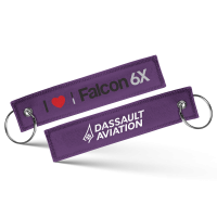 ILoveFalcon6XKeychain