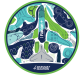 Falconpatchpattern
